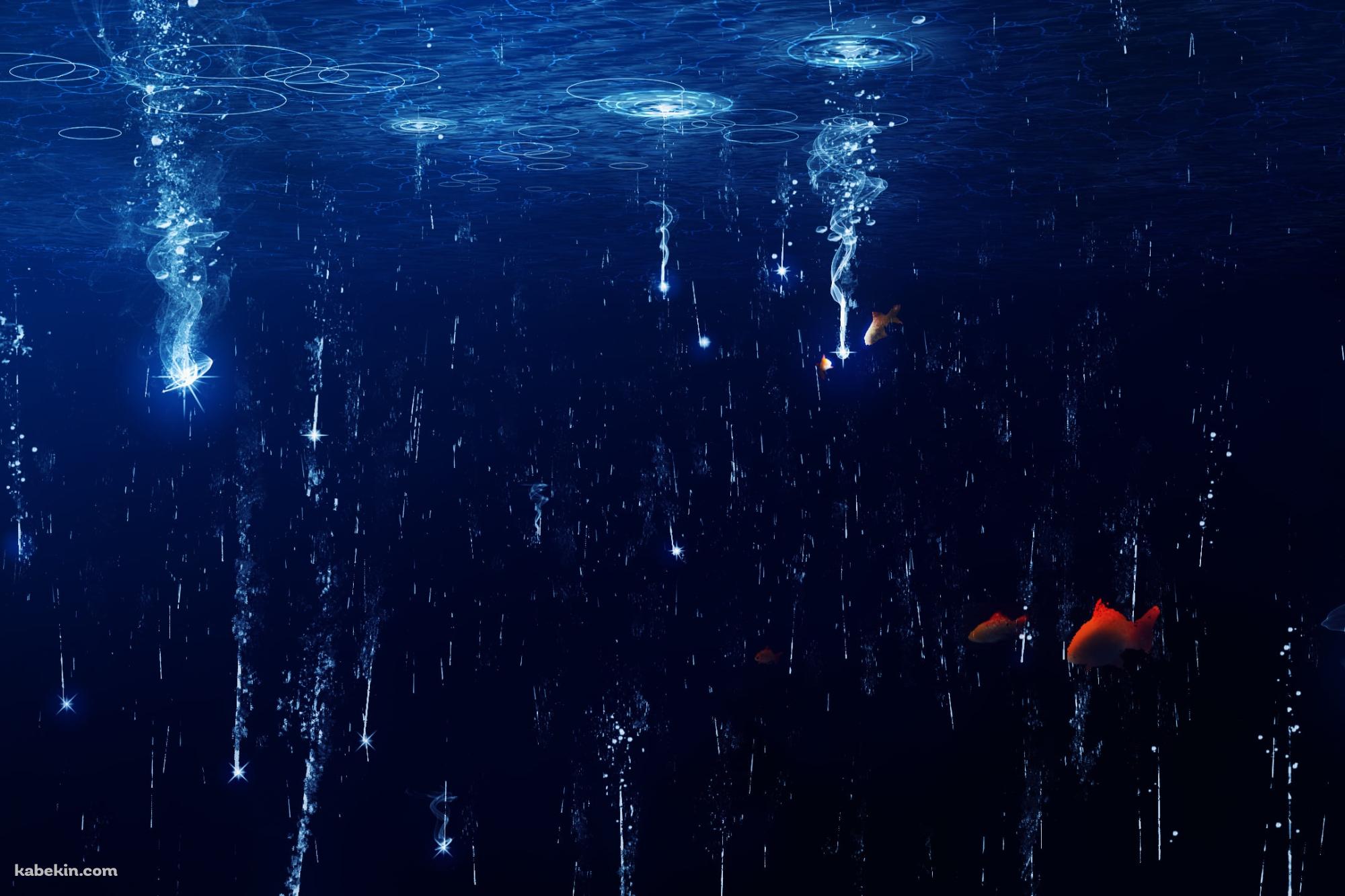 水面に落ちる光と赤い魚の壁紙(2000px x 1333px) 高画質 PC・デスクトップ用