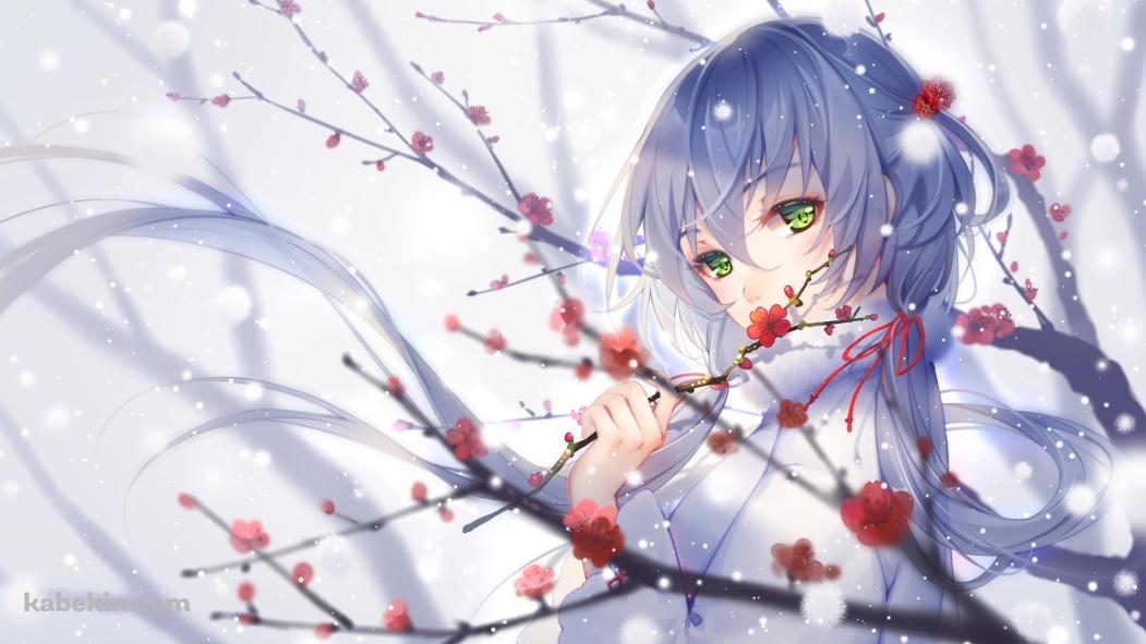 梅の花に手をかける綺麗な洛天依(ルォ・テンイ) / ボカロ / ボーカロイドの壁紙(1051px x 591px) 高画質 PC・デスクトップ用