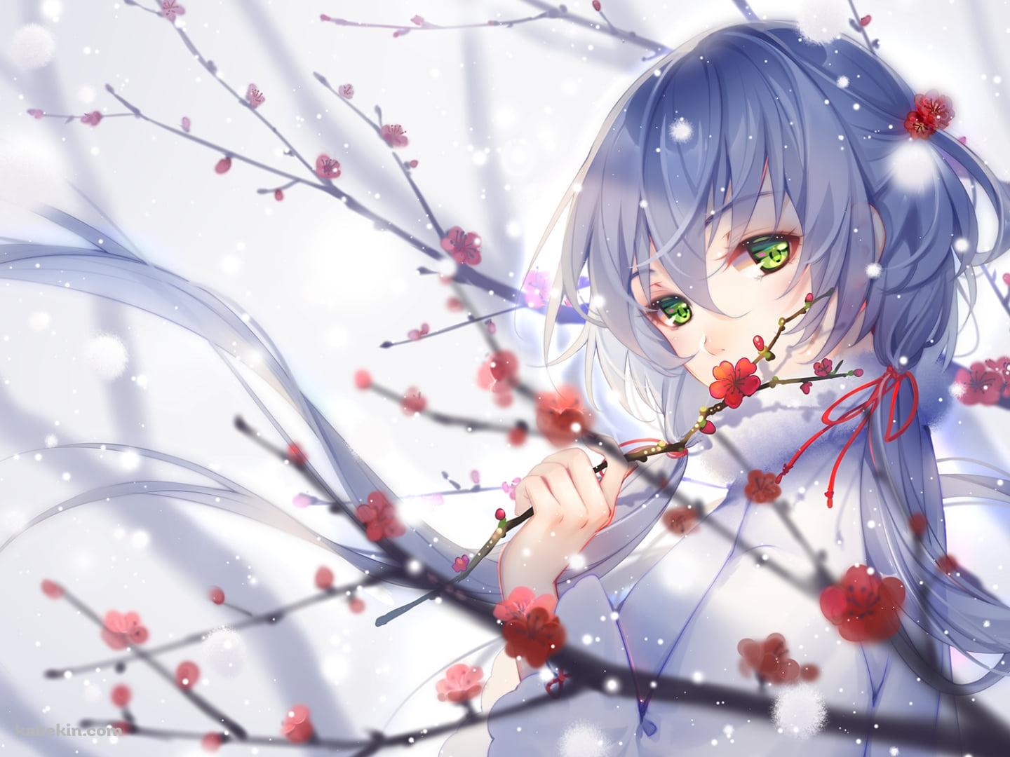 梅の花に手をかける綺麗な洛天依(ルォ・テンイ) / ボカロ / ボーカロイドの壁紙(1440px x 1080px) 高画質 PC・デスクトップ用