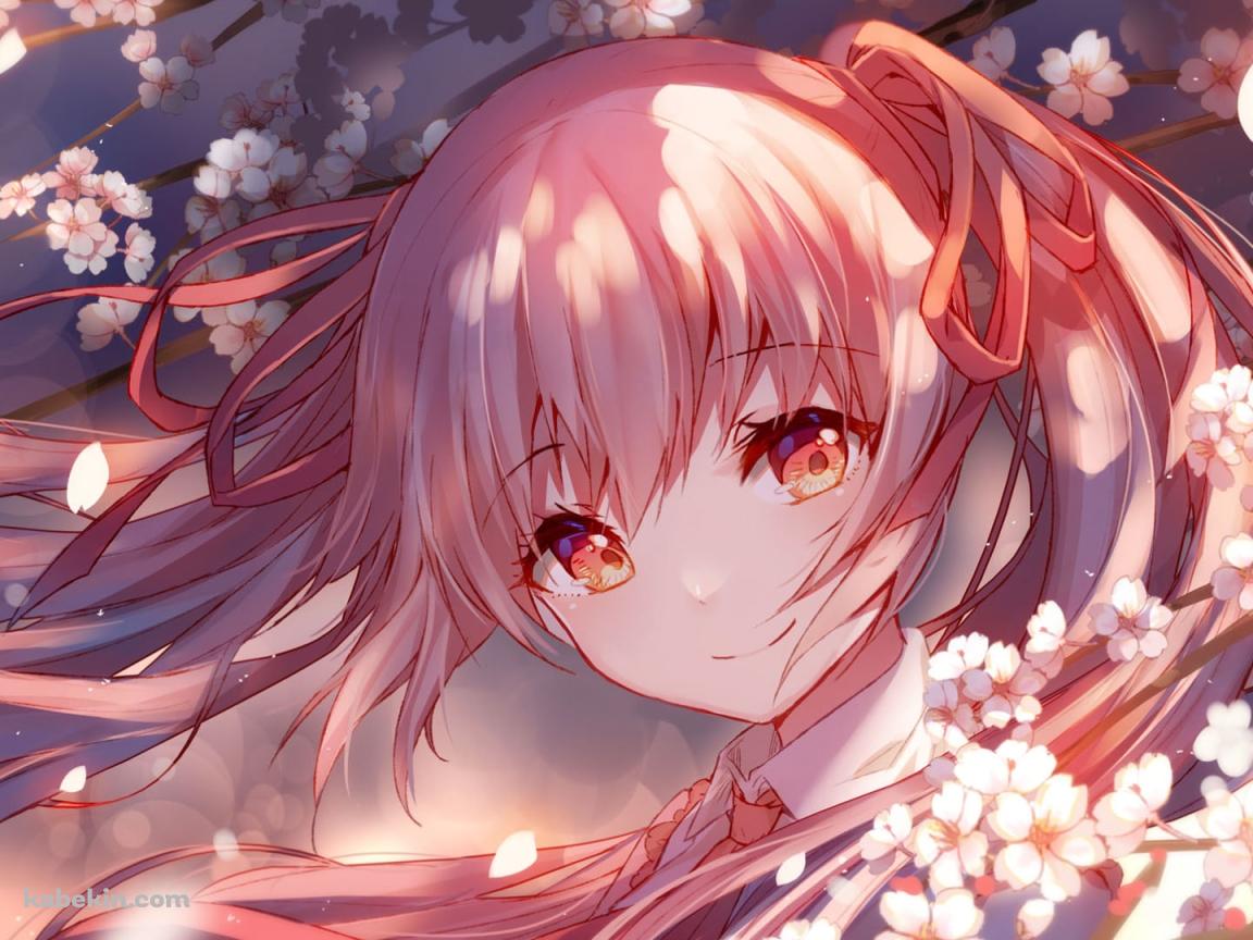 桜の花びらを眺める桜ミク / ボカロ / ボーカロイドの壁紙(1152px x 864px) 高画質 PC・デスクトップ用