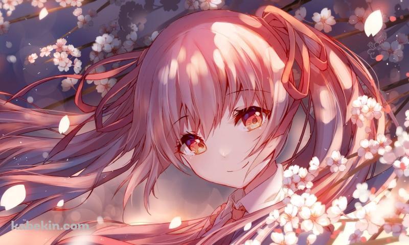 桜の花びらを眺める桜ミク / ボカロ / ボーカロイドの壁紙(800px x 480px) 高画質 PC・デスクトップ用