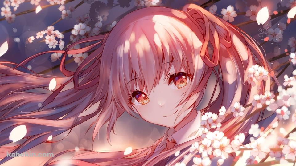 桜の花びらを眺める桜ミク / ボカロ / ボーカロイドの壁紙(960px x 540px) 高画質 PC・デスクトップ用