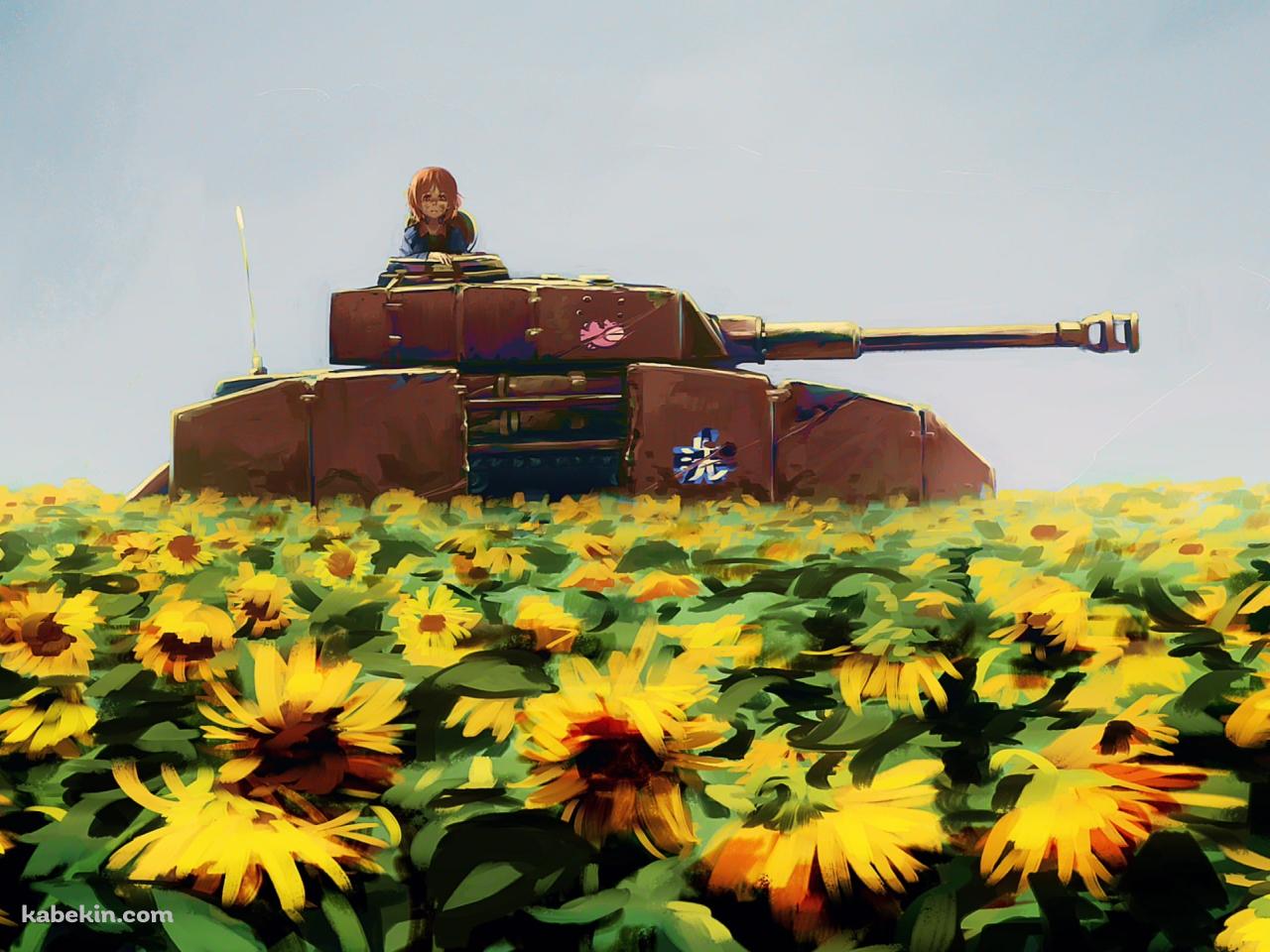 戦車に乗り黄色い向日葵畑を眺める西住みほ / ガールズ&パンツァーの壁紙(1280px x 960px) 高画質 PC・デスクトップ用