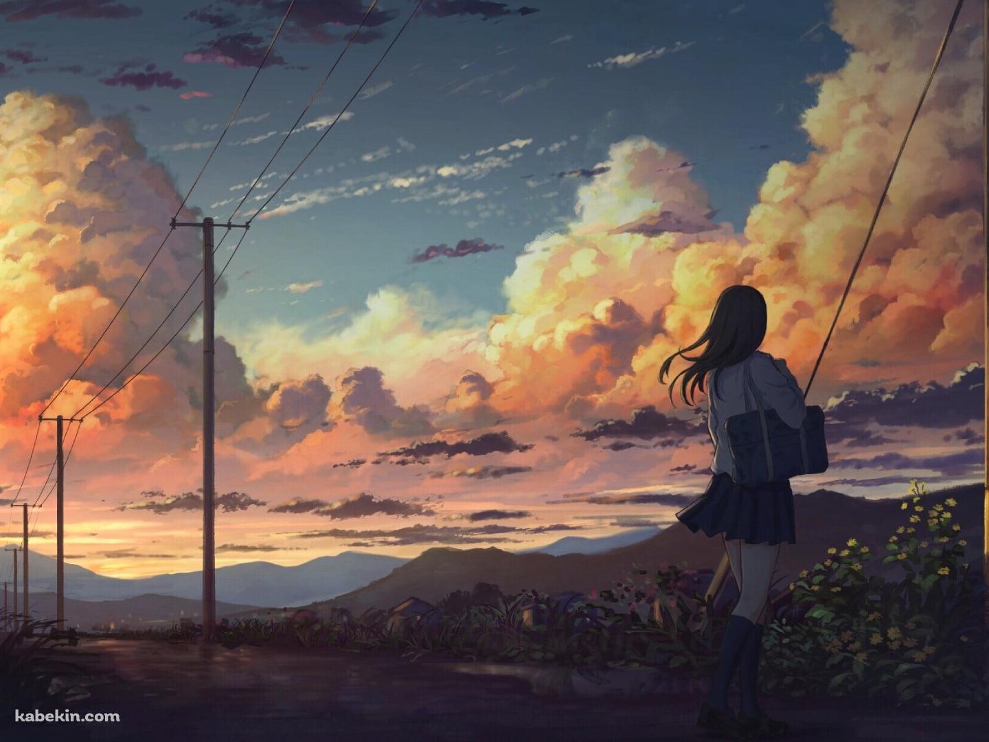 夕焼けの少女の風景画 立ち並ぶ電柱と夕焼けに染まる雲を眺める女子高生 / 田舎(1440x1080px