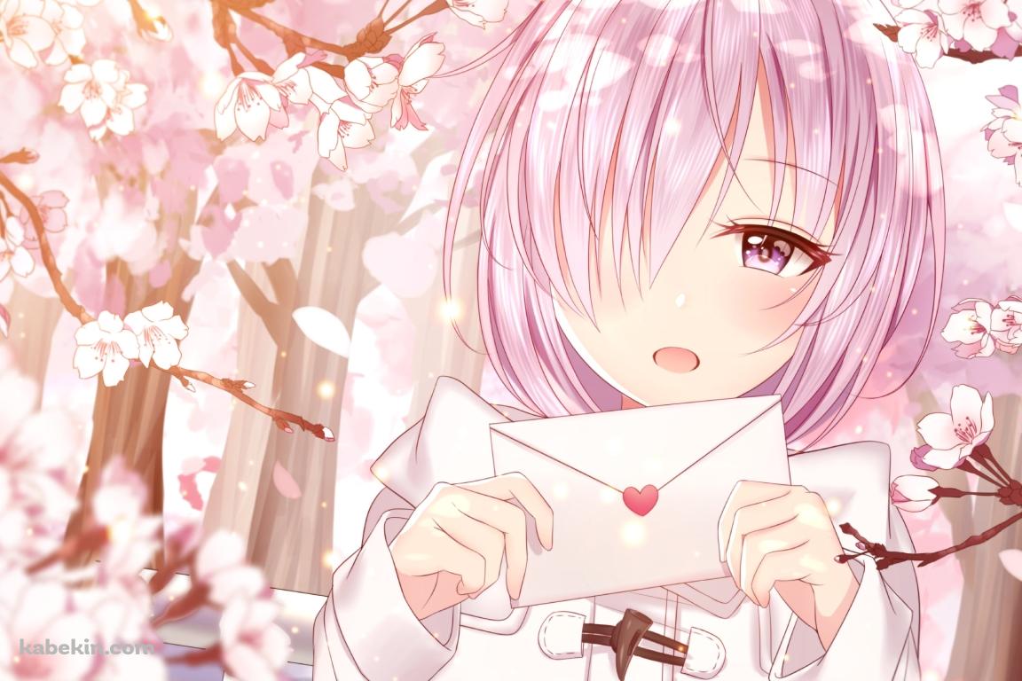 桜の花と便箋を持つマシュ・キリエライト / Fate/grand orderの壁紙(1152px x 768px) 高画質 PC・デスクトップ用