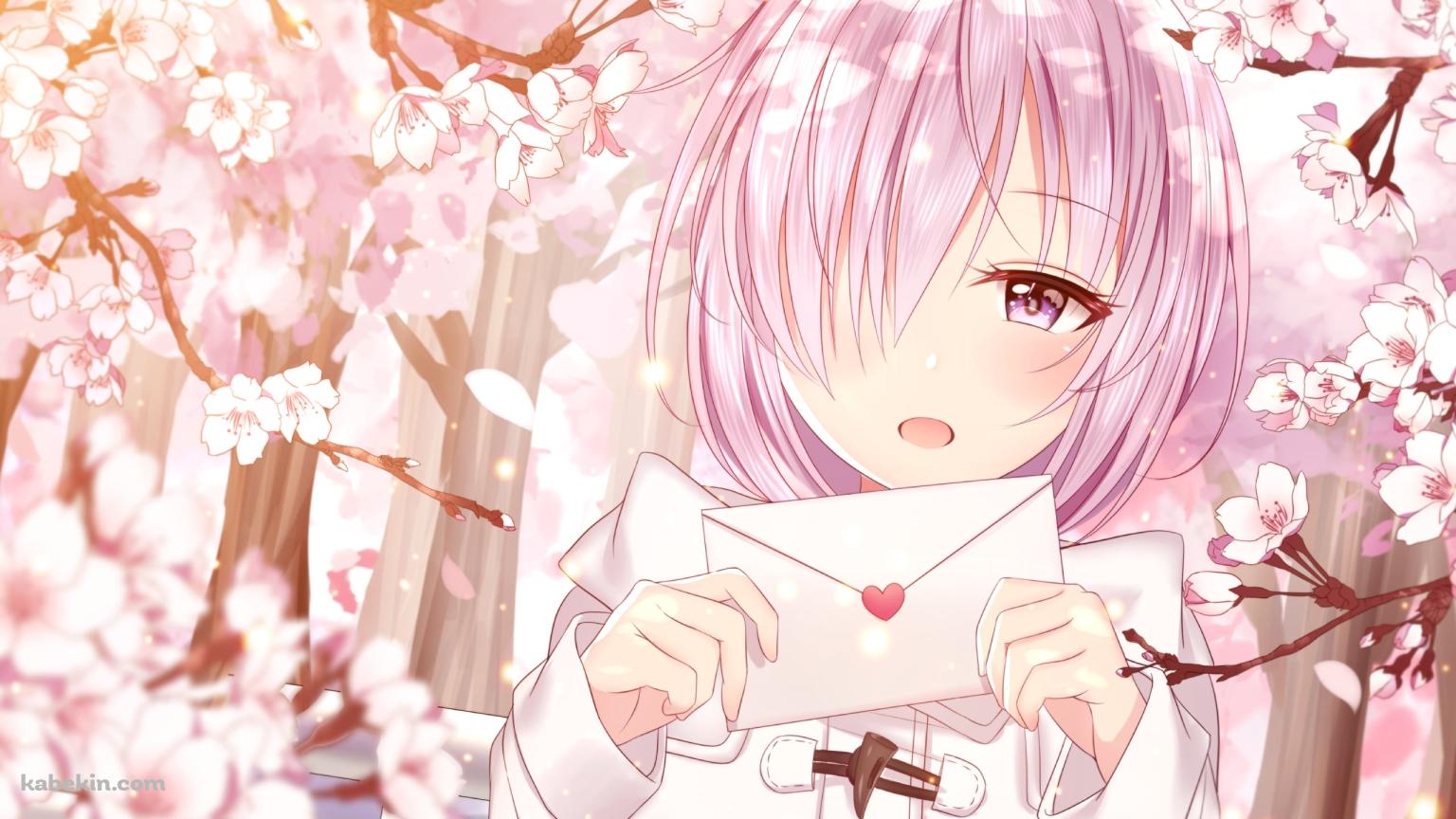 桜の花と便箋を持つマシュ・キリエライト / Fate/grand orderの壁紙(1536px x 864px) 高画質 PC・デスクトップ用