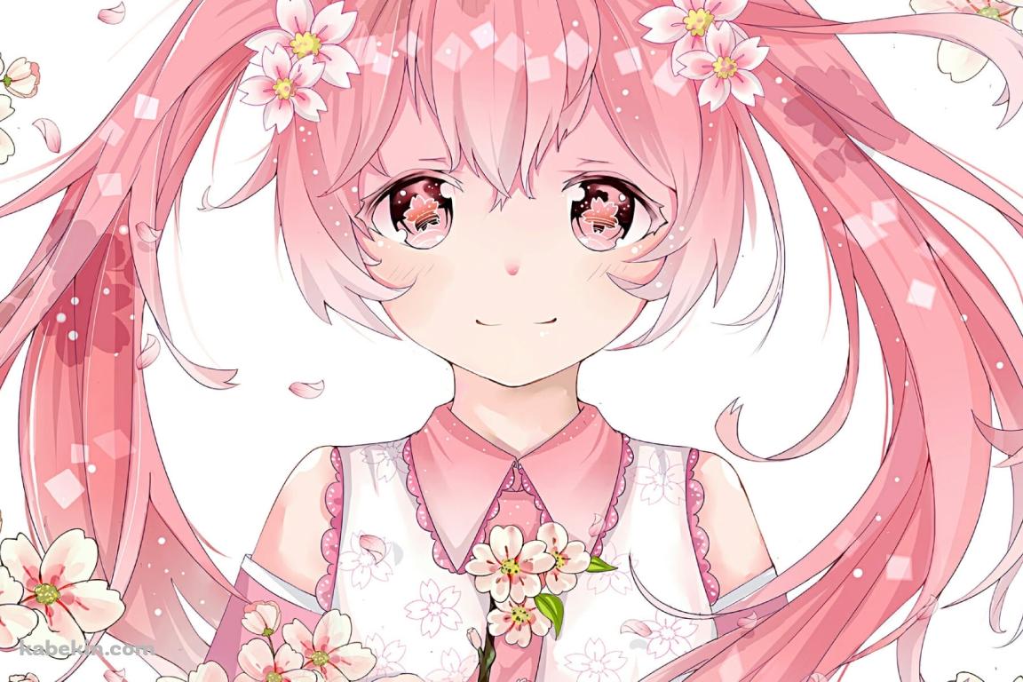 プニプニの桜ミク / 桜の花 / ボカロ / ボーカロイドの壁紙(1152px x 768px) 高画質 PC・デスクトップ用