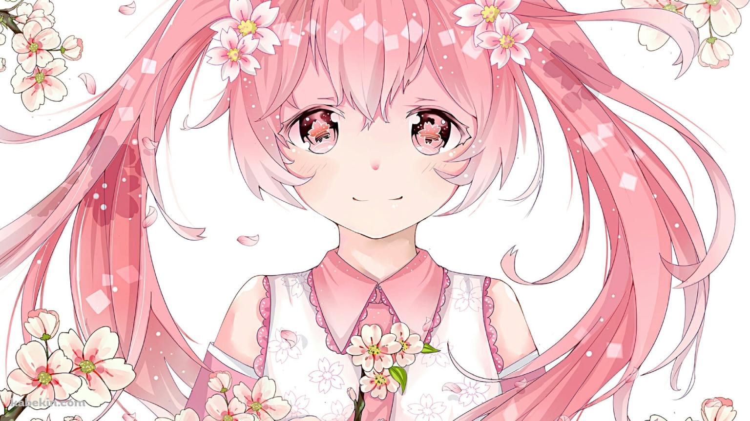 プニプニの桜ミク / 桜の花 / ボカロ / ボーカロイドの壁紙(1536px x 864px) 高画質 PC・デスクトップ用