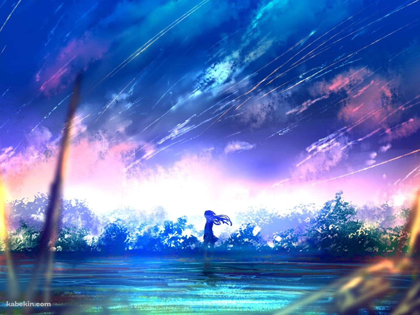 湖のほとりに立つ少女 / 水草 / 流星の壁紙(1440px x 1080px) 高画質 PC・デスクトップ用
