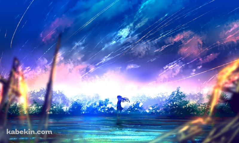 湖のほとりに立つ少女 / 水草 / 流星の壁紙(800px x 480px) 高画質 PC・デスクトップ用