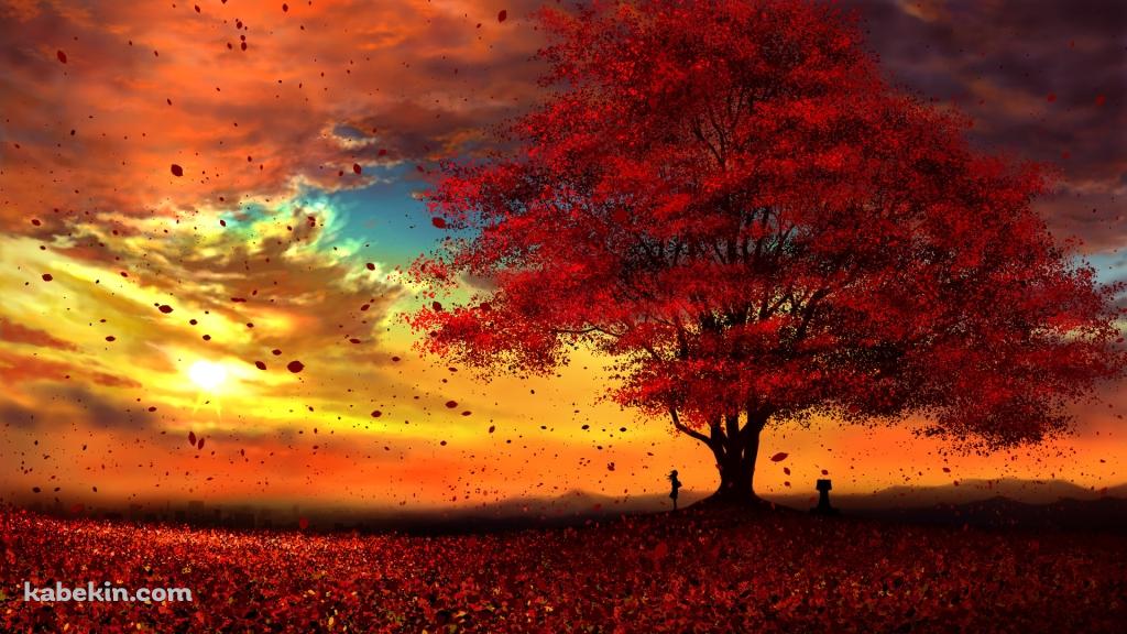 綺麗な紅葉と夕焼けと女性の壁紙(1024px x 576px) 高画質 PC・デスクトップ用