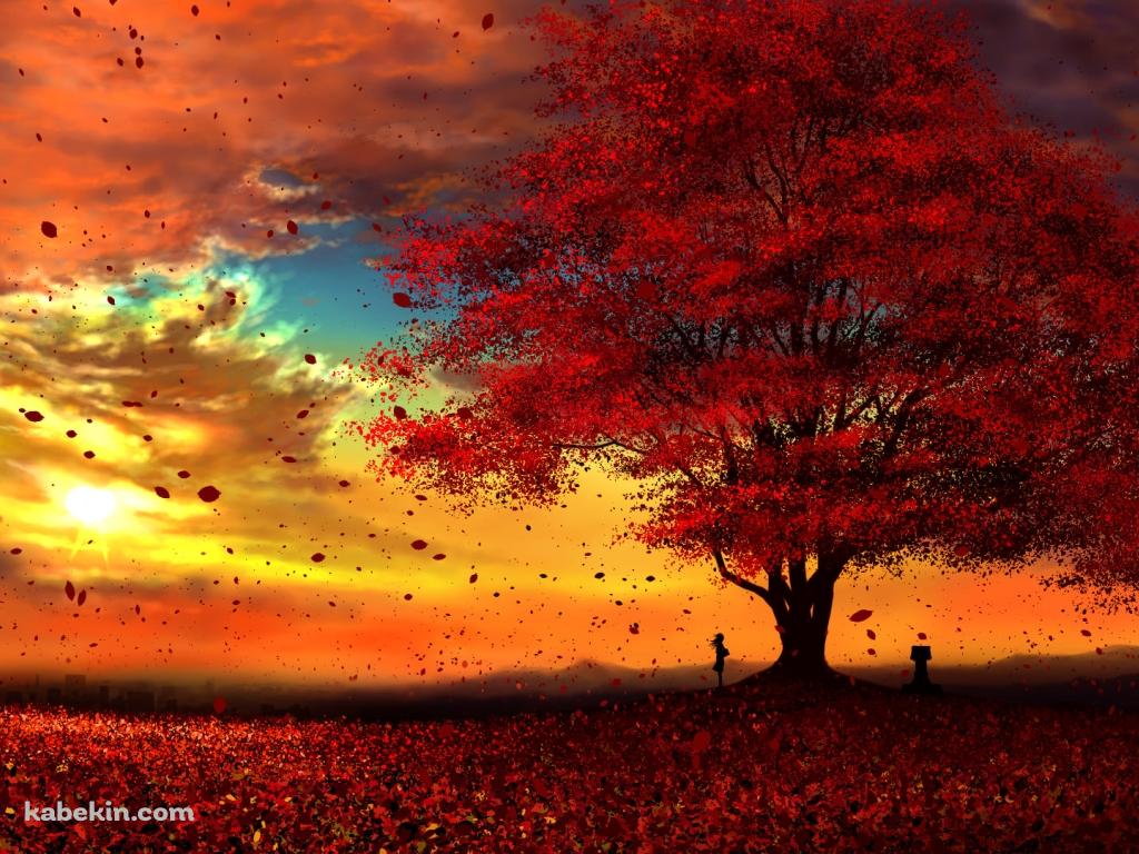 綺麗な紅葉と夕焼けと女性の壁紙(1024px x 768px) 高画質 PC・デスクトップ用