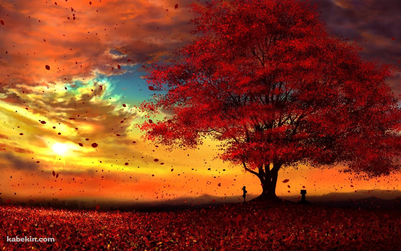 綺麗な紅葉と夕焼けと女性の壁紙(1280px x 800px) 高画質 PC・デスクトップ用