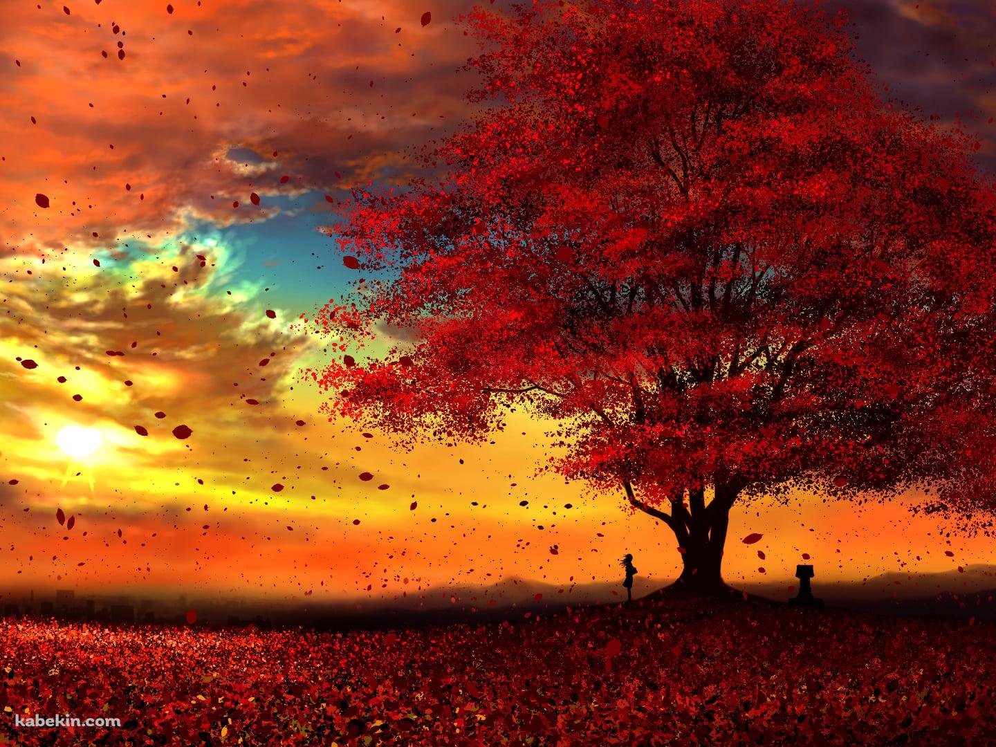 綺麗な紅葉と夕焼けと女性の壁紙(1440px x 1080px) 高画質 PC・デスクトップ用