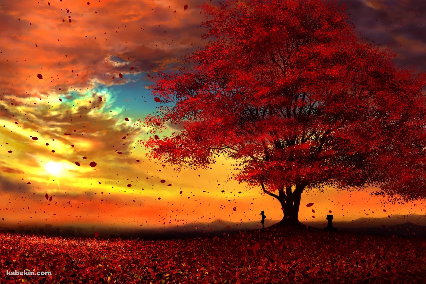 綺麗な紅葉と夕焼けと女性の壁紙(1440px x 960px) 高画質 PC・デスクトップ用