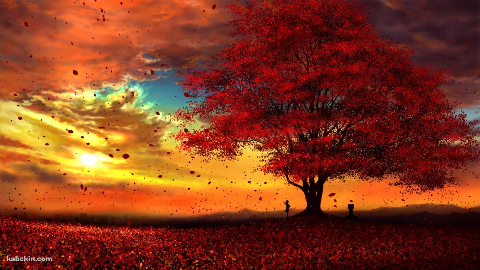 綺麗な紅葉と夕焼けと女性の壁紙(1600px x 900px) 高画質 PC・デスクトップ用