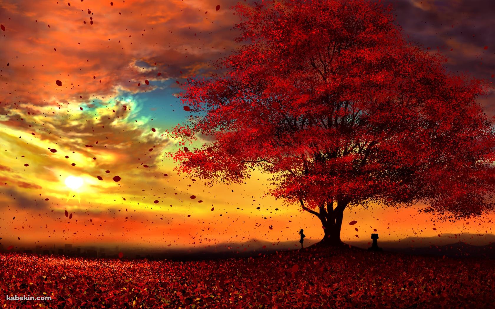 綺麗な紅葉と夕焼けと女性の壁紙(1680px x 1050px) 高画質 PC・デスクトップ用