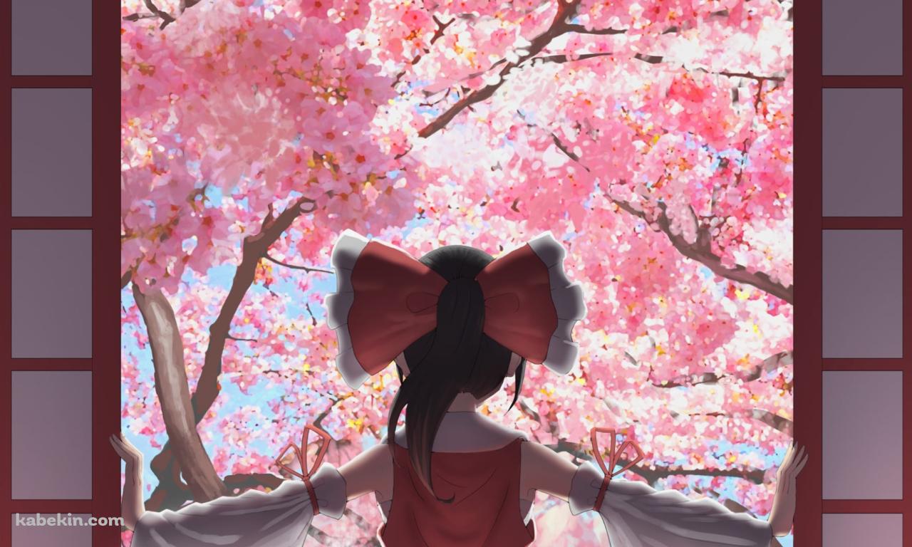 障子を開けて満開の桜を見る博麗霊夢 / 東方の壁紙(1280px x 768px) 高画質 PC・デスクトップ用