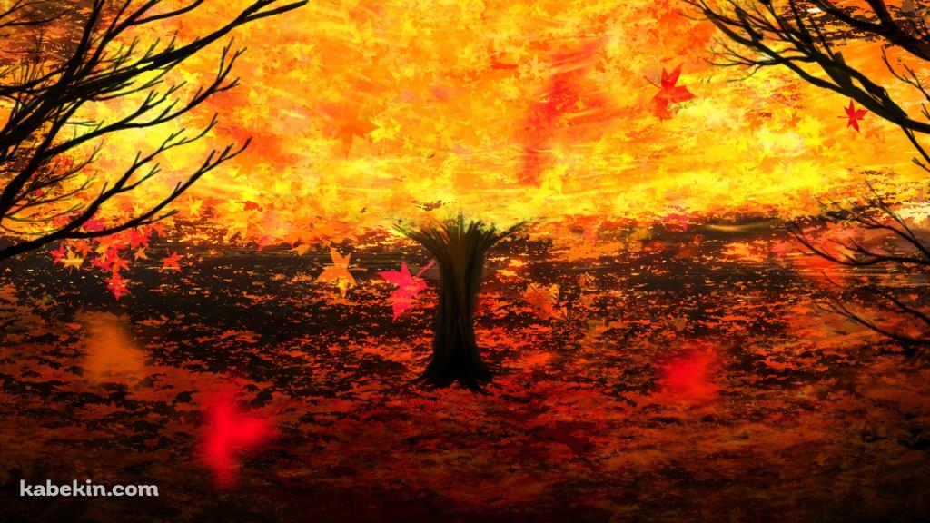 赤い絨毯 / 紅葉 / 舞い散る葉 / 秋の壁紙(1024px x 576px) 高画質 PC・デスクトップ用