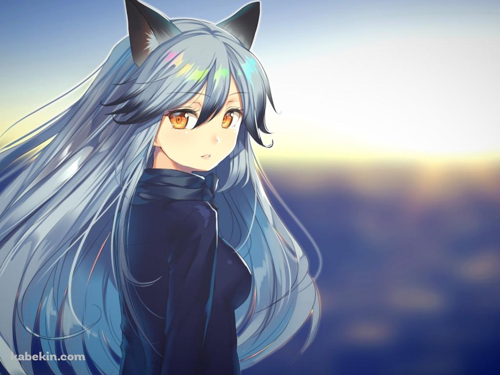 海の前でこちらに振り返るギンギツネ / Silver Fox / けものフレンズの壁紙(1024px x 768px) 高画質 PC・デスクトップ用