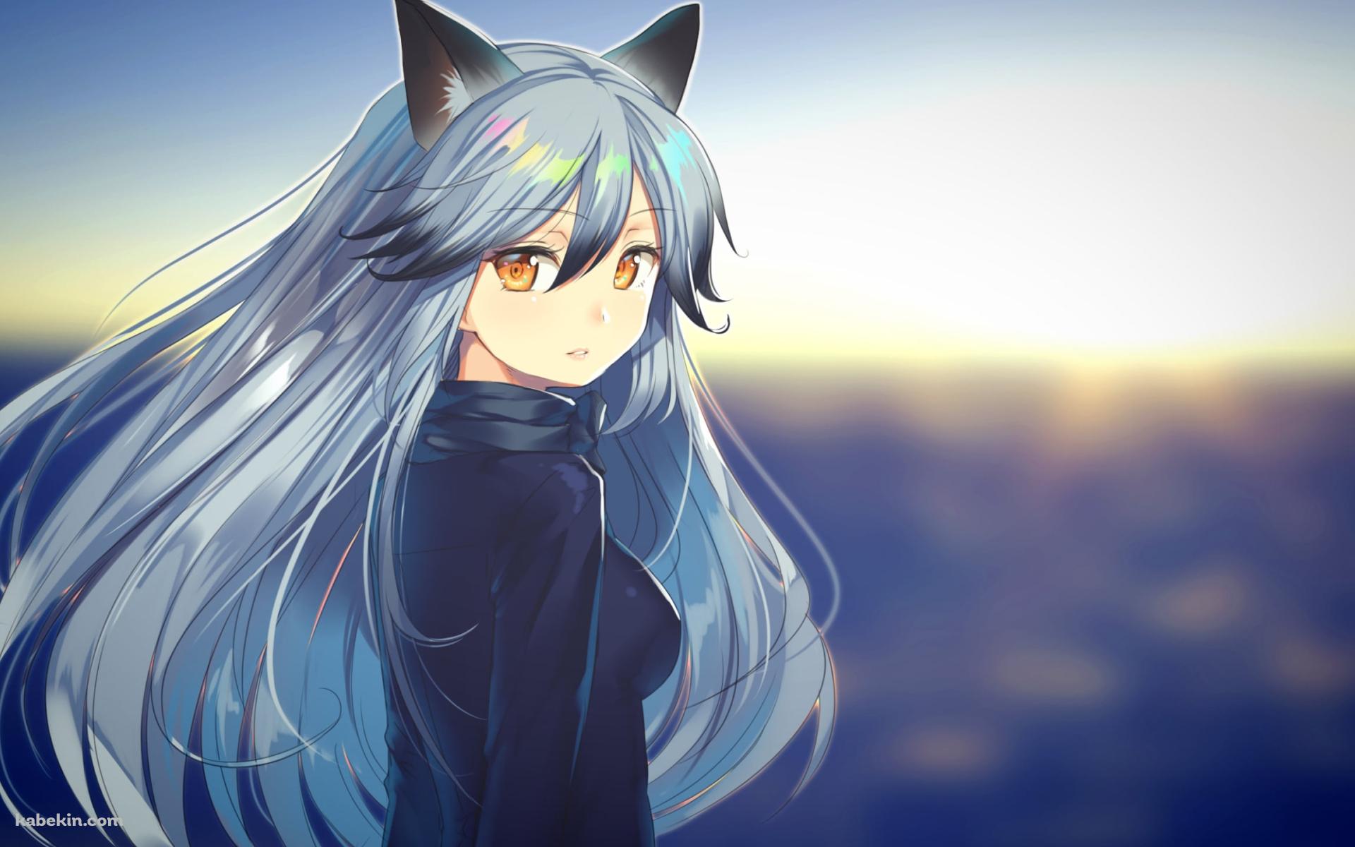 海の前でこちらに振り返るギンギツネ / Silver Fox / けものフレンズの壁紙(1920px x 1200px) 高画質 PC・デスクトップ用