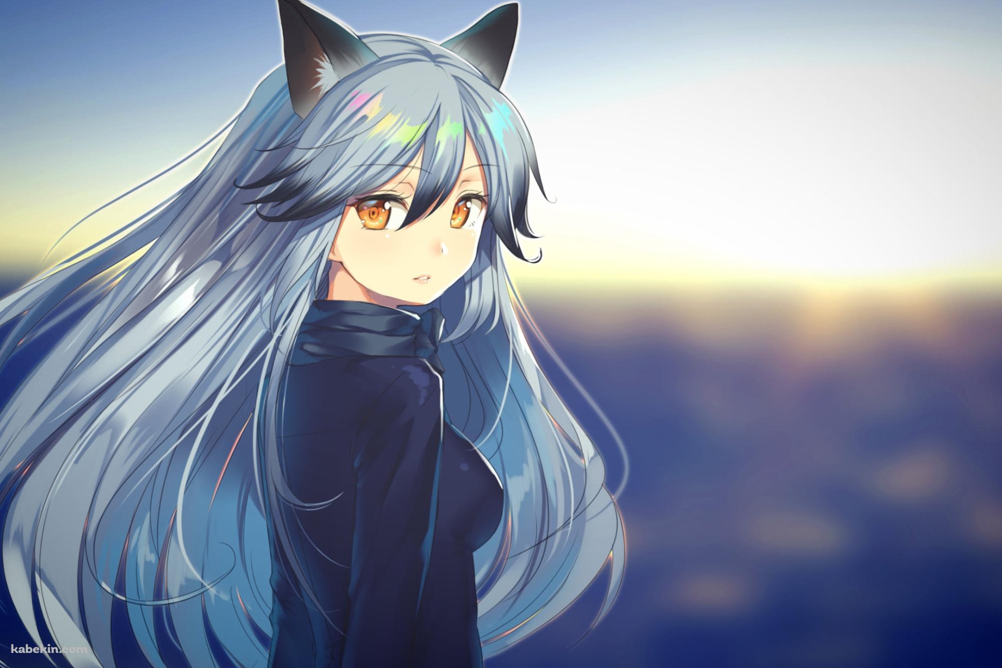 海の前でこちらに振り返るギンギツネ / Silver Fox / けものフレンズの壁紙(2000px x 1333px) 高画質 PC・デスクトップ用