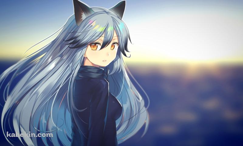 海の前でこちらに振り返るギンギツネ / Silver Fox / けものフレンズの壁紙(800px x 480px) 高画質 PC・デスクトップ用