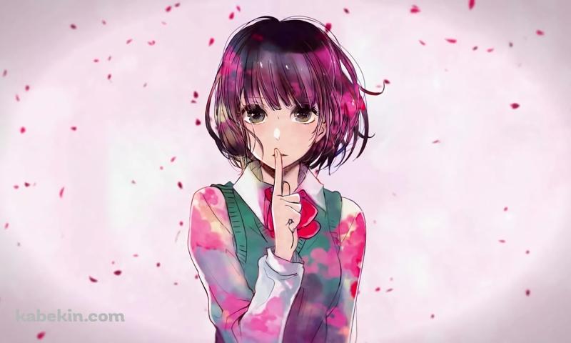 ナイショのポーズをする可愛い安楽岡 花火(やすおか はなび) / クズの本懐の壁紙(800px x 480px) 高画質 PC・デスクトップ用