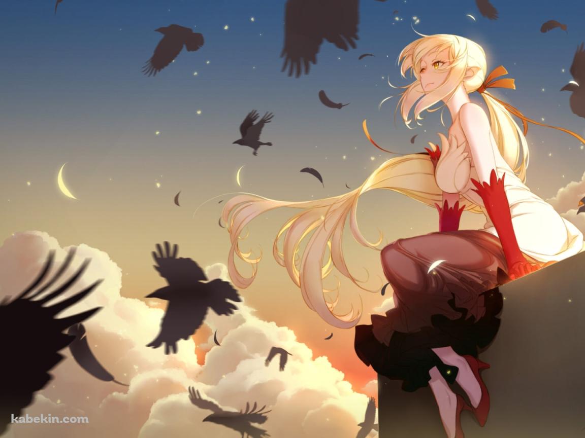 建物の屋上に座り遠くを眺める忍野忍 (おしの しのぶ) / 空飛ぶカラス / 化物語の壁紙(1152px x 864px) 高画質 PC・デスクトップ用