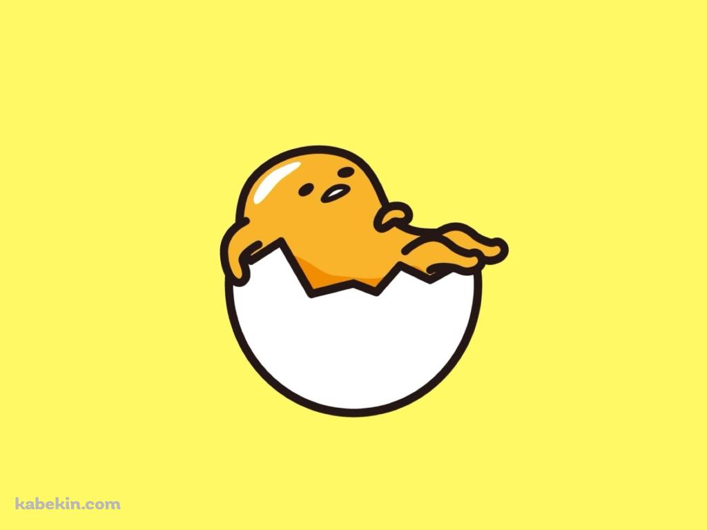 殻にはまってリラックスするぐでたま / Gudetamaの壁紙(1024px x 768px) 高画質 PC・デスクトップ用
