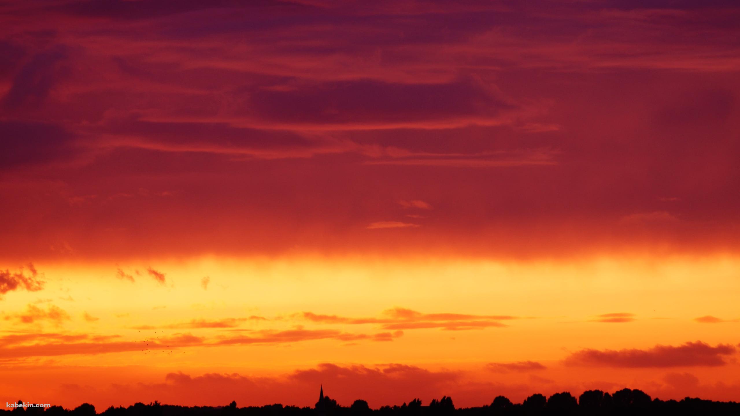 グラデーションの夕陽と森のシルエットの壁紙(2560px x 1440px) 高画質 PC・デスクトップ用
