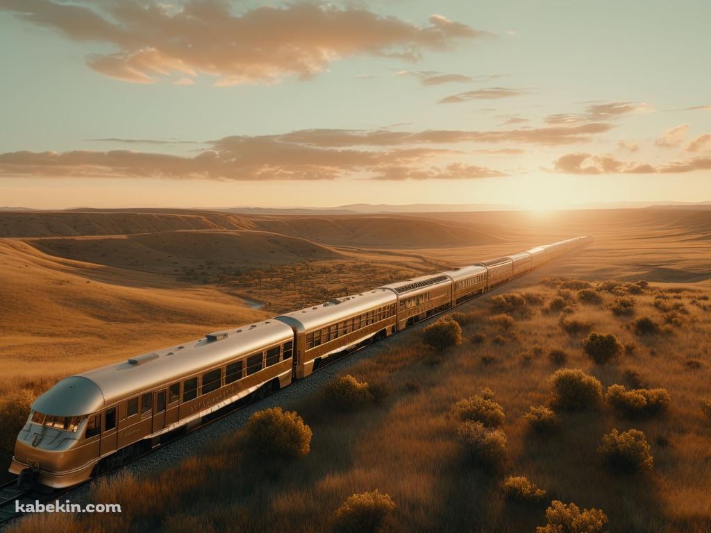 乾いた大地の中を走る電車の壁紙(1024px x 768px) 高画質 PC・デスクトップ用