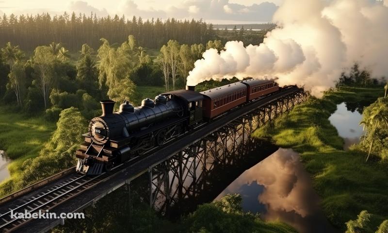 白い煙をはいて綺麗な自然の中を走る機関車の壁紙(800px x 480px) 高画質 PC・デスクトップ用