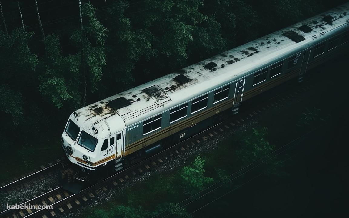 森の中を走るボロボロの白い電車の壁紙(1152px x 720px) 高画質 PC・デスクトップ用