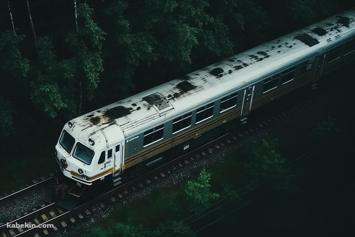 森の中を走るボロボロの白い電車の壁紙(1152px x 768px) 高画質 PC・デスクトップ用