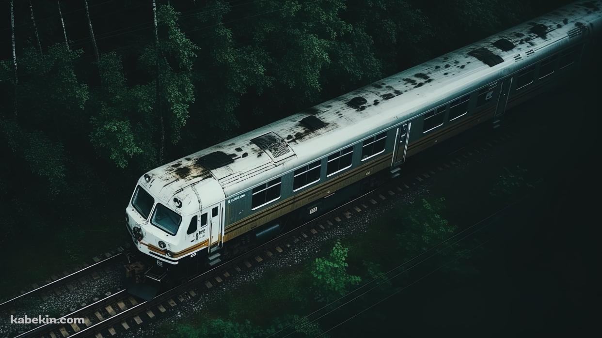 森の中を走るボロボロの白い電車の壁紙(1242px x 698px) 高画質 PC・デスクトップ用
