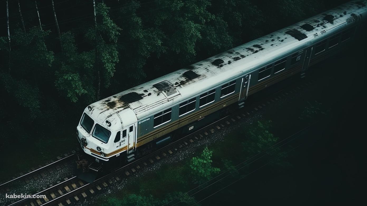 森の中を走るボロボロの白い電車の壁紙(1391px x 783px) 高画質 PC・デスクトップ用
