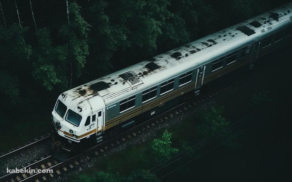 森の中を走るボロボロの白い電車の壁紙(960px x 600px) 高画質 PC・デスクトップ用