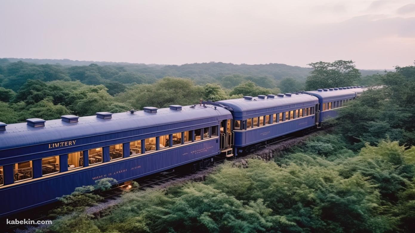 緑豊かな木々間にある線路を走る青い電車の壁紙(1391px x 783px) 高画質 PC・デスクトップ用
