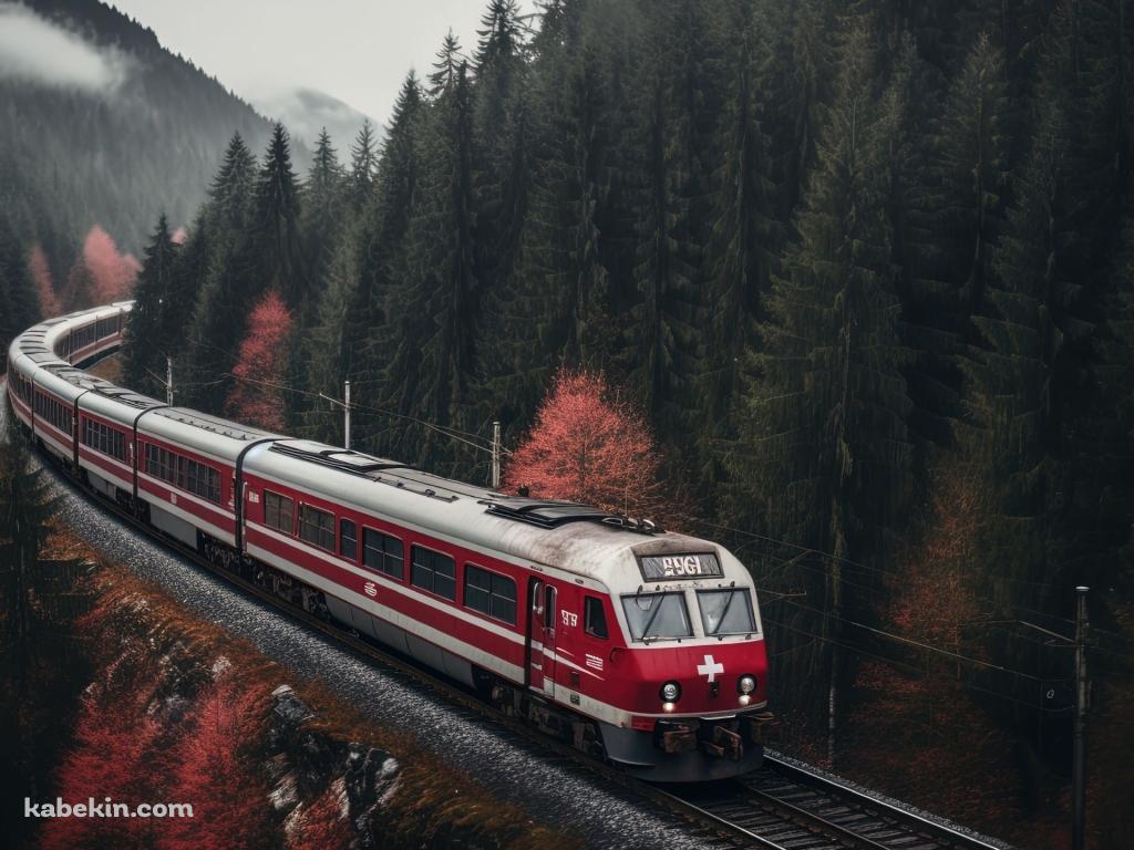 針葉樹の森の中を走る赤い電車の壁紙(1024px x 768px) 高画質 PC・デスクトップ用