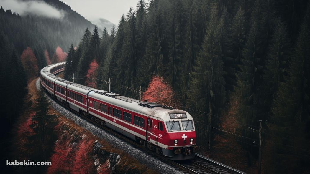 針葉樹の森の中を走る赤い電車の壁紙(1051px x 591px) 高画質 PC・デスクトップ用
