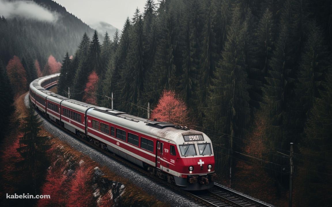 針葉樹の森の中を走る赤い電車の壁紙(1152px x 720px) 高画質 PC・デスクトップ用