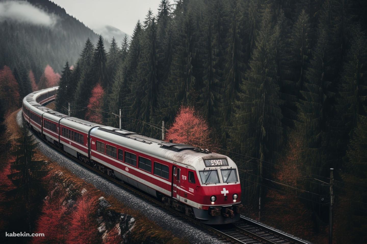 針葉樹の森の中を走る赤い電車の壁紙(1440px x 960px) 高画質 PC・デスクトップ用