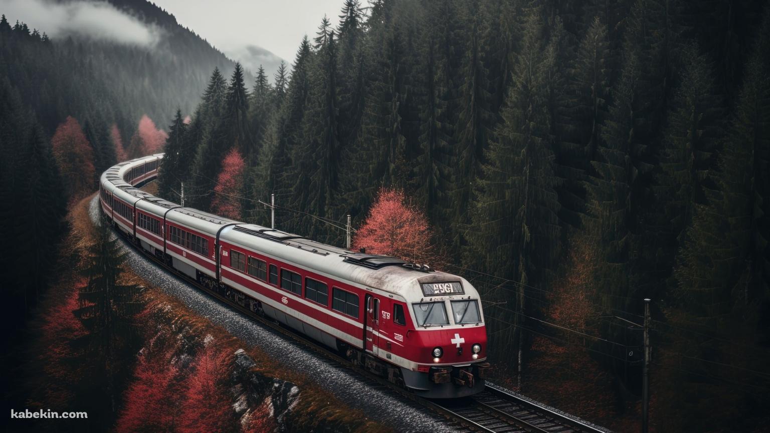 針葉樹の森の中を走る赤い電車の壁紙(1536px x 864px) 高画質 PC・デスクトップ用