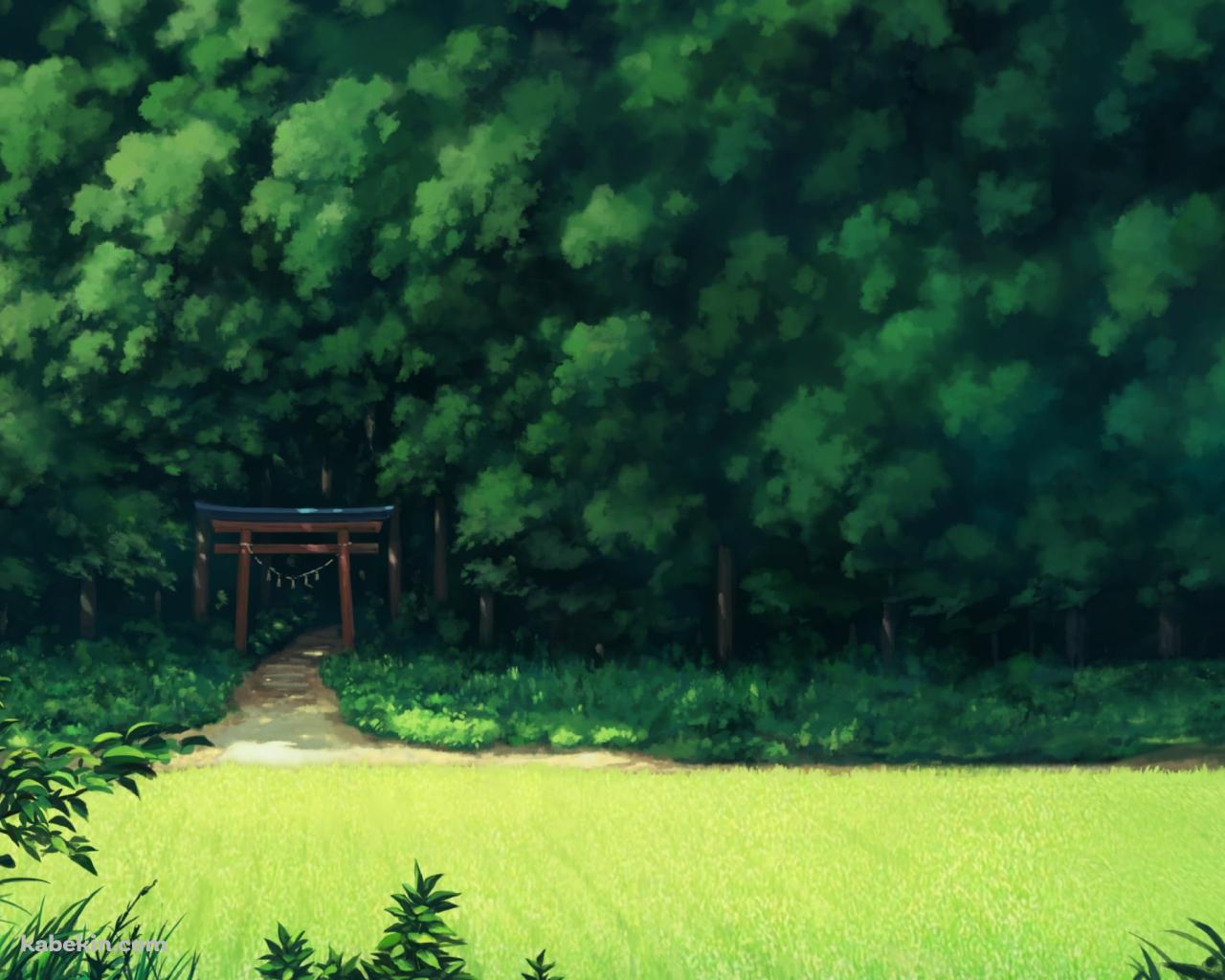 緑鮮やかな森と赤い鳥居の壁紙(1280px x 1024px) 高画質 PC・デスクトップ用