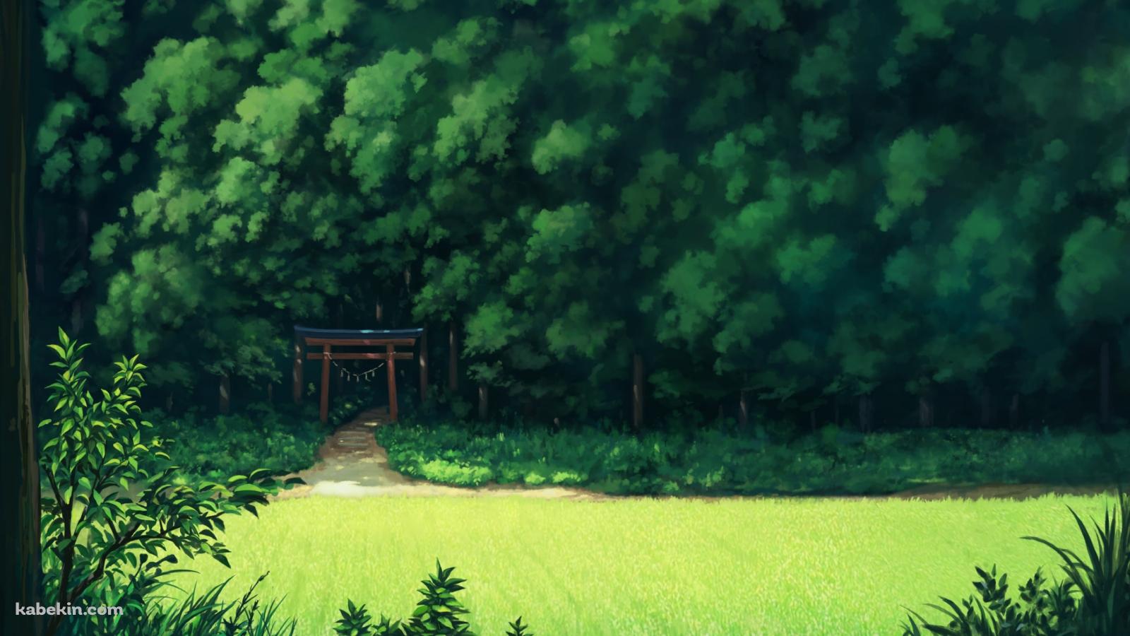 緑鮮やかな森と赤い鳥居の壁紙(1600px x 900px) 高画質 PC・デスクトップ用