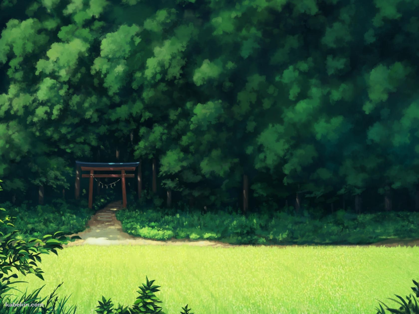 緑鮮やかな森と赤い鳥居の壁紙(1680px x 1260px) 高画質 PC・デスクトップ用
