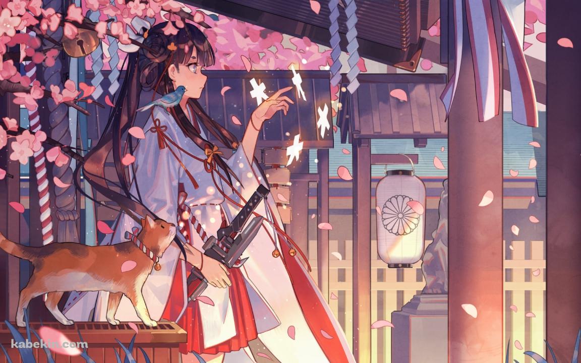 桜の花と巫女と賽銭箱に乗る茶色い猫 / Shaonyu Cofee Gun / ガール・カフェ・ガンの壁紙(1152px x 720px) 高画質 PC・デスクトップ用