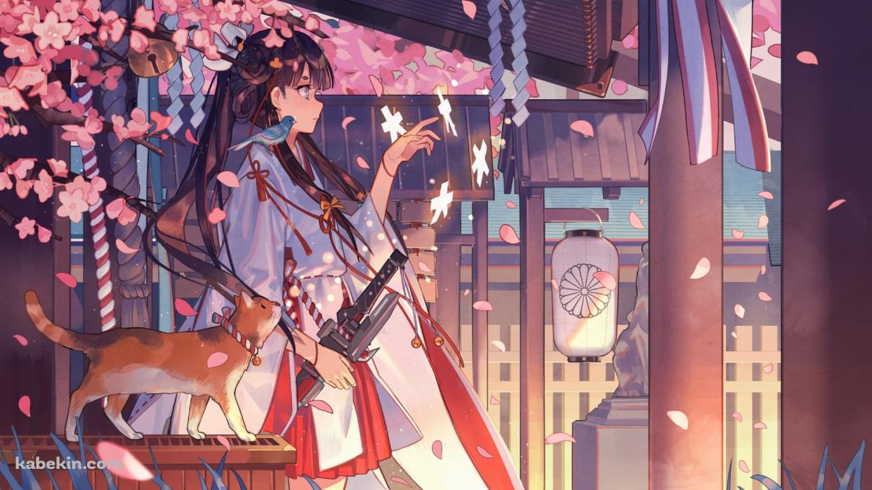 桜の花と巫女と賽銭箱に乗る茶色い猫 / Shaonyu Cofee Gun / ガール・カフェ・ガンの壁紙(1242px x 698px) 高画質 PC・デスクトップ用
