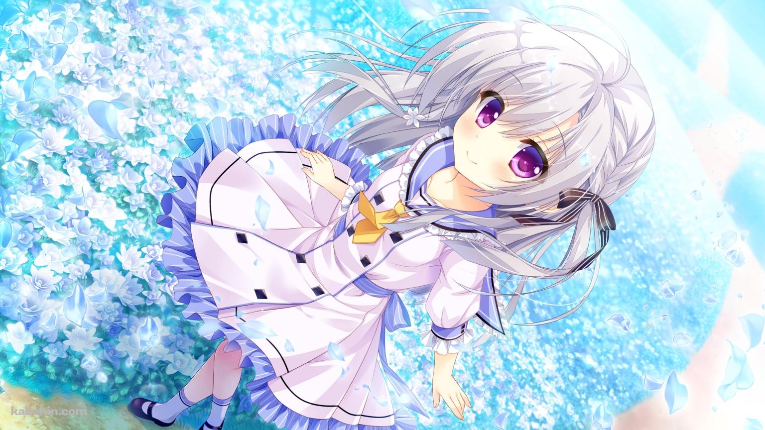 青い花畑と可愛いレン / 枯れない世界と終わる花の壁紙(1536px x 864px) 高画質 PC・デスクトップ用